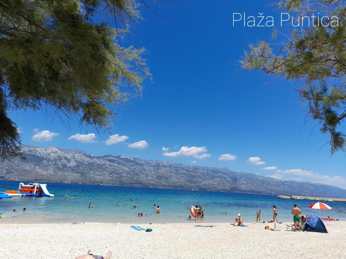 Yellow Dream Murvica  Εξωτερικό φωτογραφία